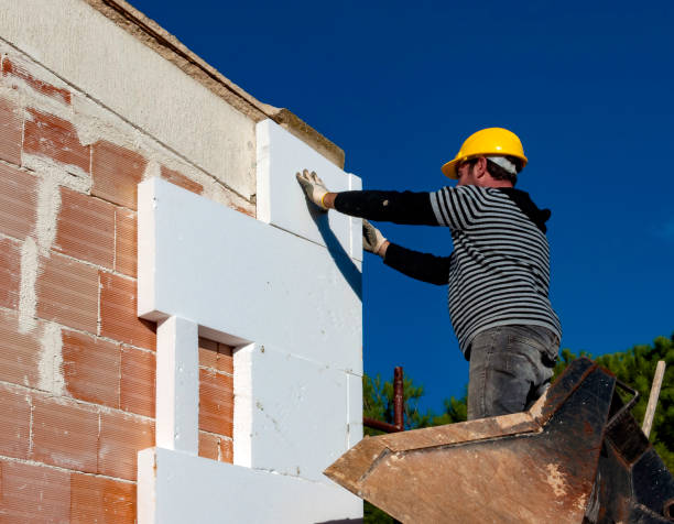 Best Insulation Maintenance and Repair in Arlington, MN
