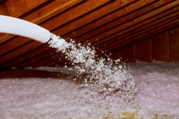 Best Commercial Insulation in Arlington, MN