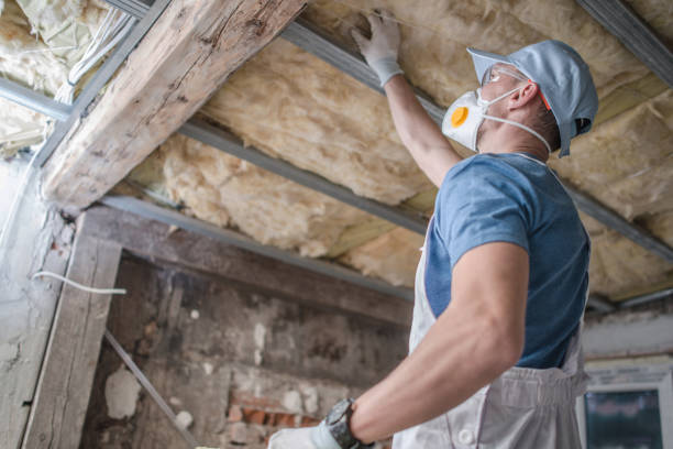 Best Insulation Maintenance and Repair in Arlington, MN