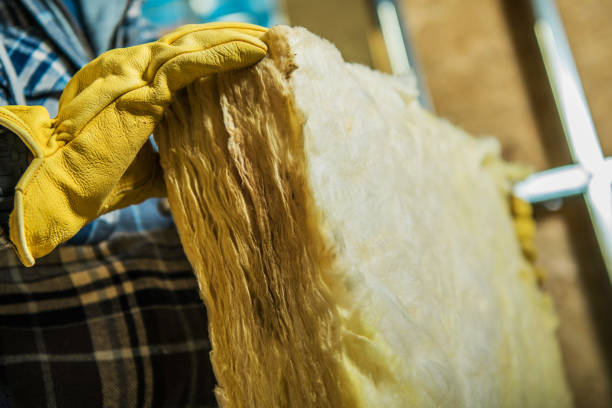 Best Types of Insulation in Arlington, MN