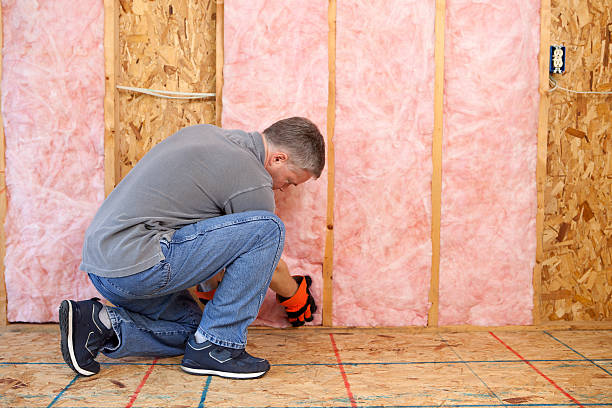 Best Insulation for Specific Applications in Arlington, MN
