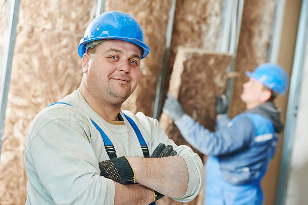 Best Commercial Insulation in Arlington, MN